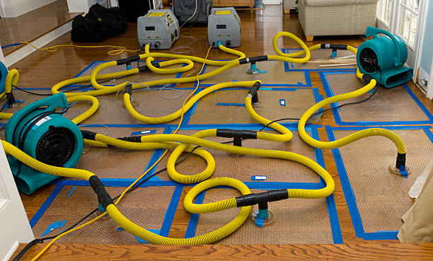 Professional Water Extraction technician working in West Babylon, NY